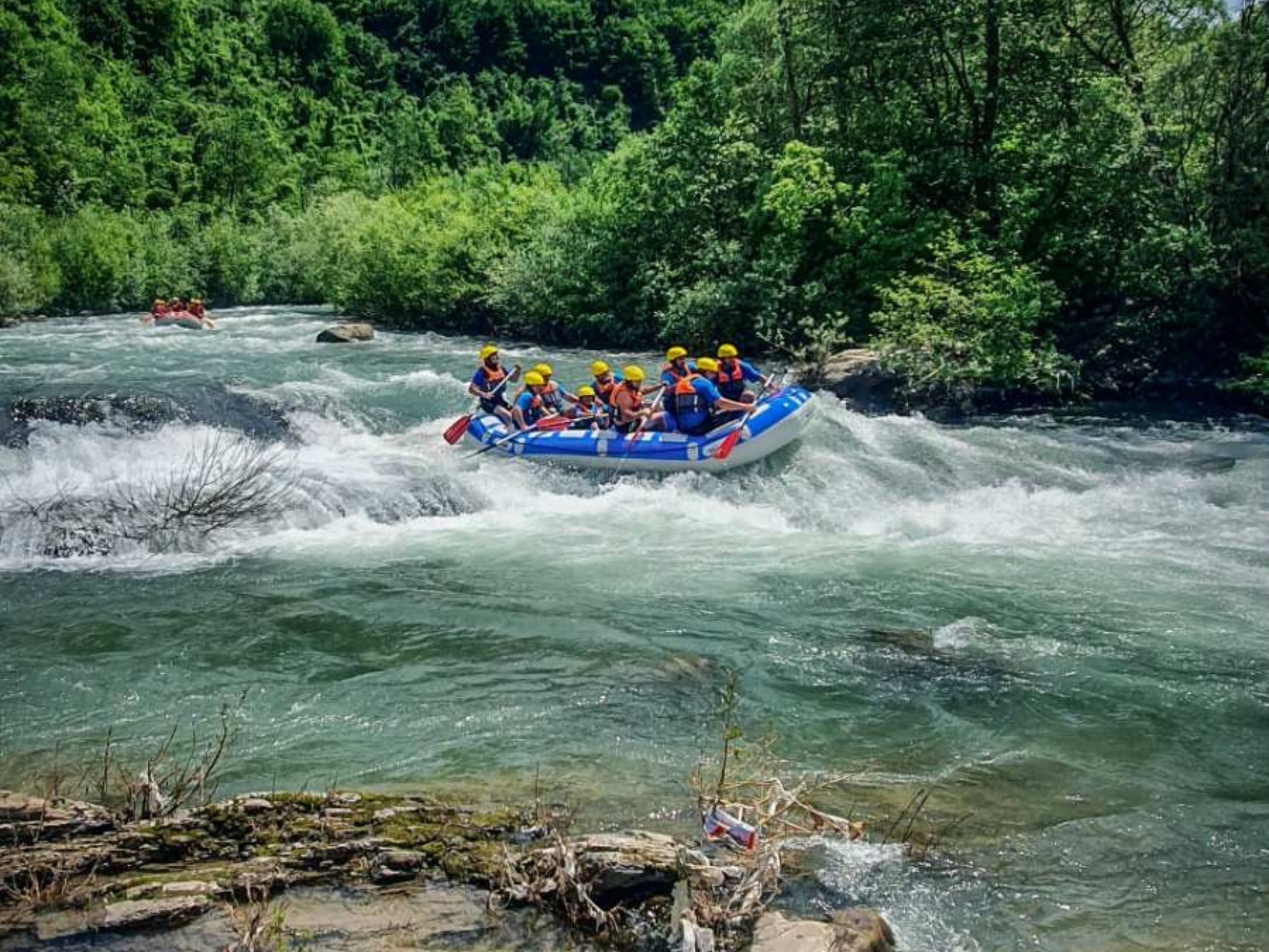 Untitled design (48)